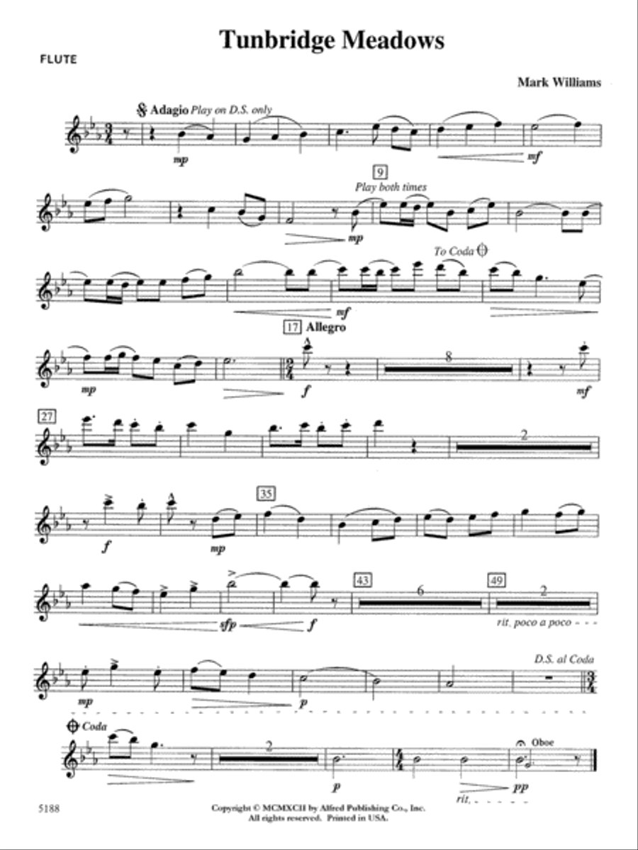 Tunbridge Meadows: Flute Concert Band scores gallery preview page 1