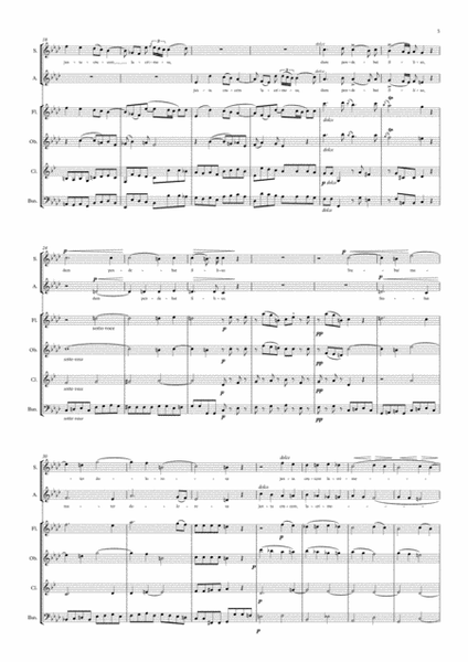 Wind Quartet: Giovanni Battista Pergolesi _ Stabat Mater image number null