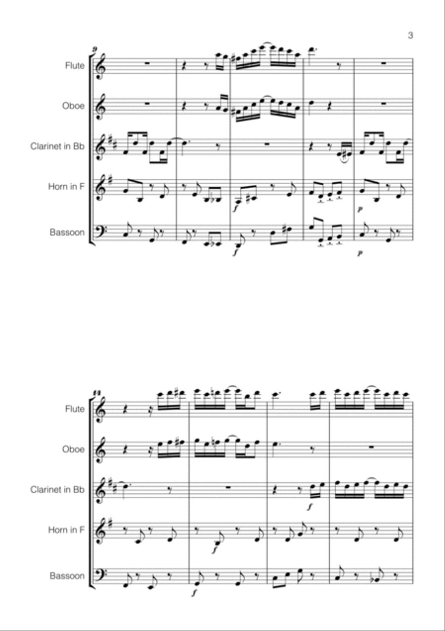 Scott Joplin - The Entertainer for Wind Quintet Woodwind Quintet scores gallery preview page 3