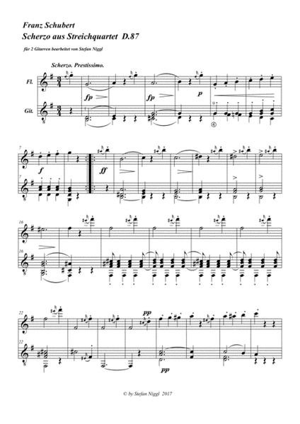 F.Schubert: Scherzo from String Quartet D.87 for Guitar and Flute