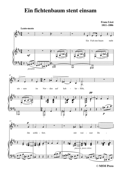 Liszt-Ein fichtenbaum stent einsam in b minor,for Voice and Piano image number null