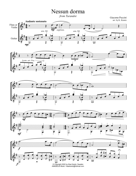 Nessun dorma for violin or flute and guitar image number null