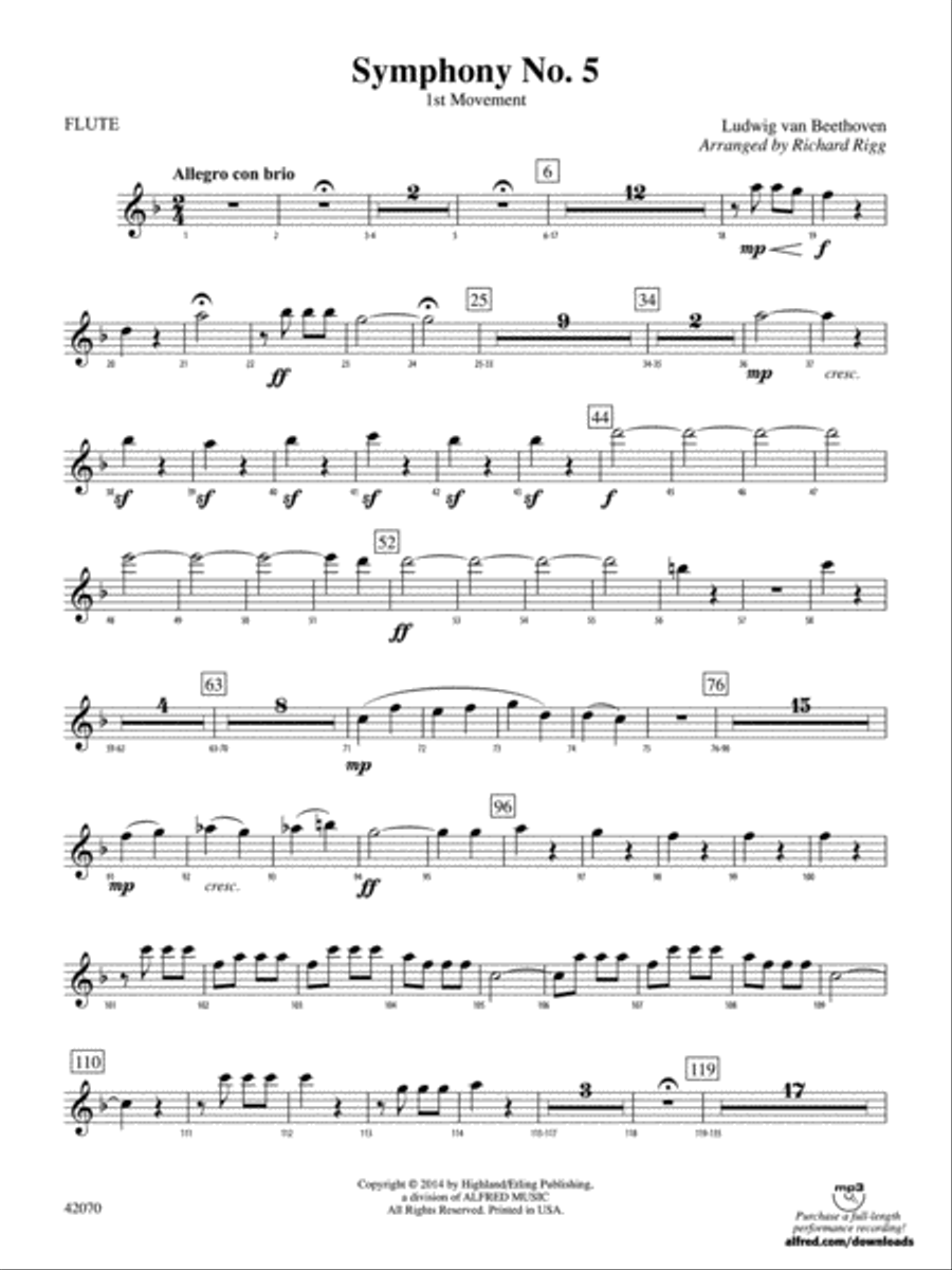 Symphony No. 5: Flute Full Orchestra scores gallery preview page 1