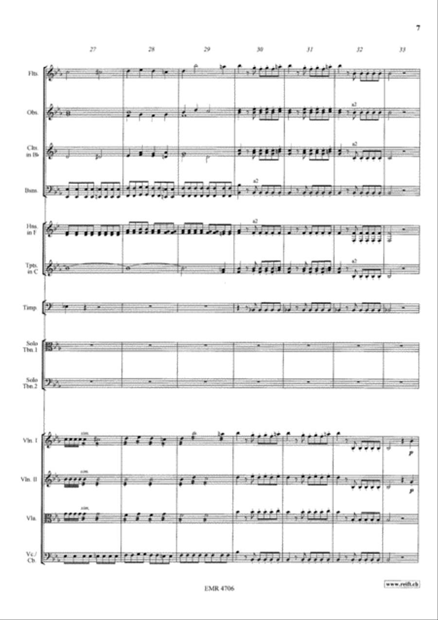 Concerto Orchestra scores gallery preview page 8
