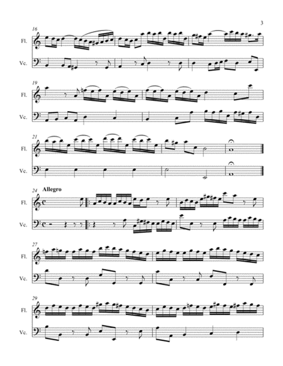 Sonata foe Flute and Cello