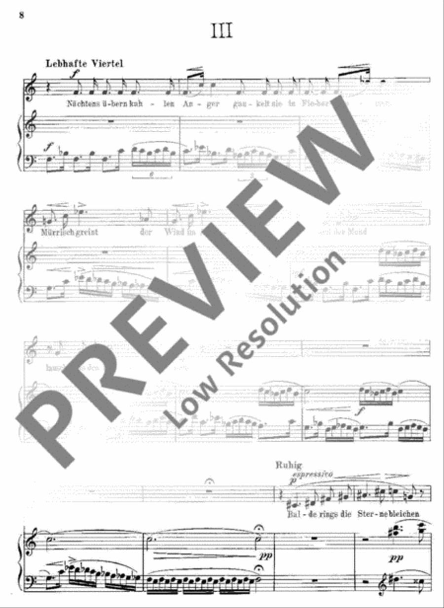 Die junge Magd Flute scores gallery preview page 9
