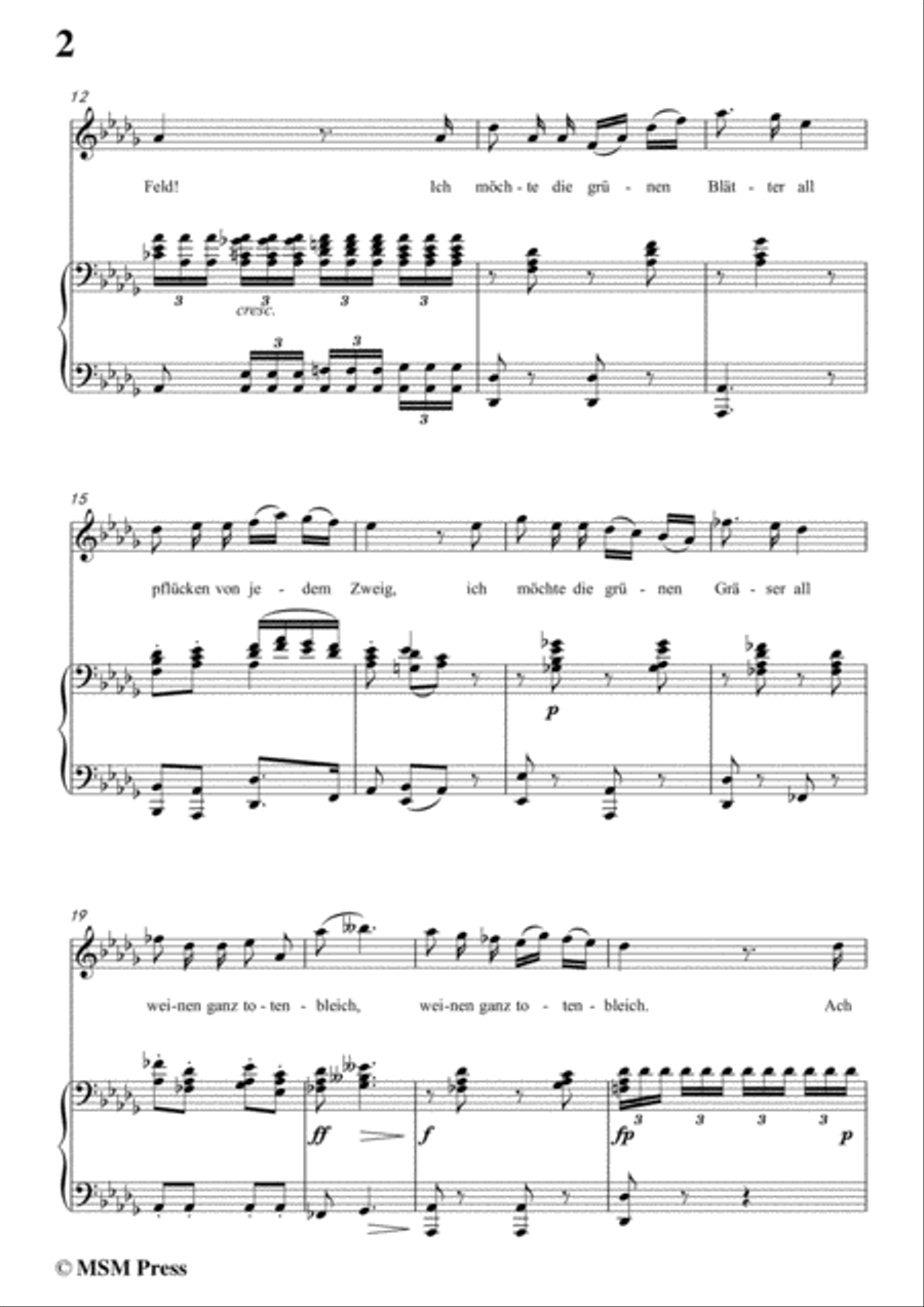 Schubert-Die böse Farbe,from 'Die Schöne Müllerin',Op.25 No.17,in D flat Major,for Voice&Piano Voice scores gallery preview page 4