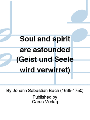 Book cover for Soul and spirit are astounded (Geist und Seele wird verwirret)