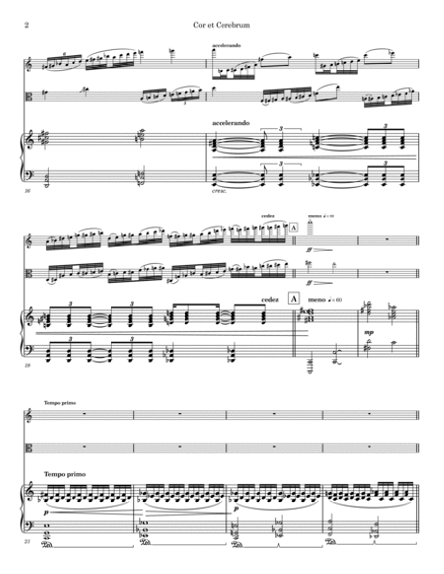 Cor et Cerebrum - Concerto No.2 for Violin, Viola and Orchestra Viola scores gallery preview page 3