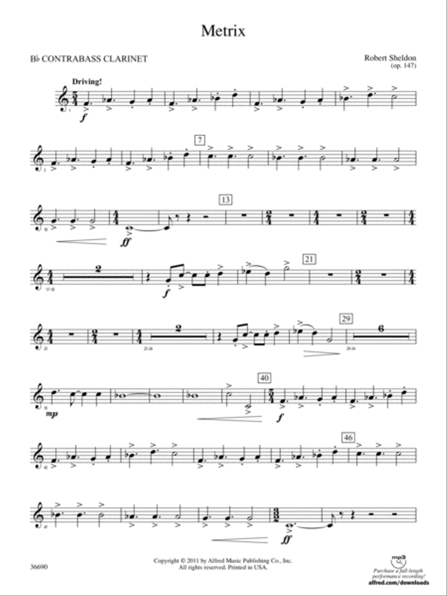Book cover for Metrix: (wp) B-flat Contrabass Clarinet