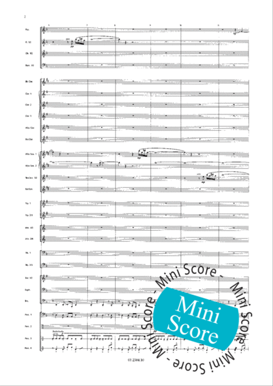 Os Passaros Do Brasil Concert Band scores gallery preview page 10