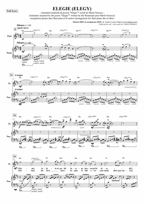 ELEGIE (ELEGY) (miniatura) (miniature) - aranjament pentru duet flaut-pian in Si minor (arrangement