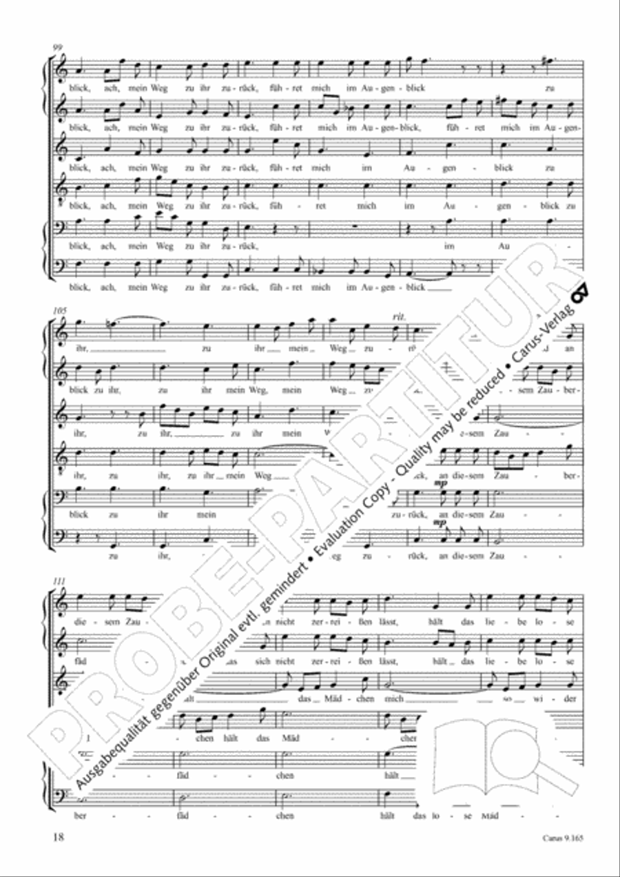 Drei Lieder nach Texten von Goethe Choir scores gallery preview page 19
