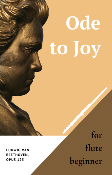 Ode to Joy by Beethoven for Flute Beginner with Piano image number null
