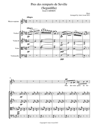 Bizet : Seguidilla Aria from Carmen ( Arranged for Mezzo-Soprano and String Quartet/Orchestra)