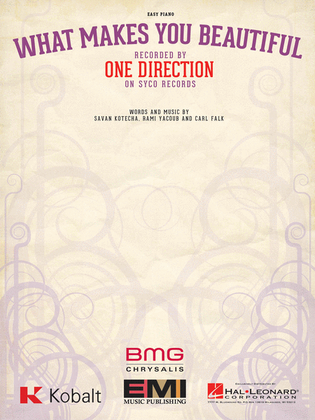 Book cover for What Makes You Beautiful