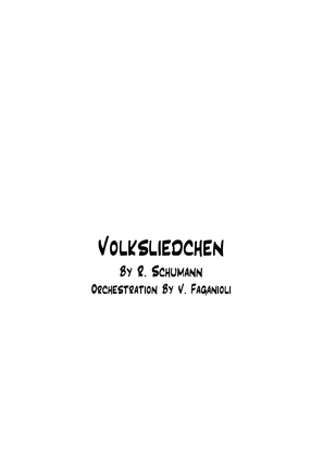 Book cover for Volksliedchen