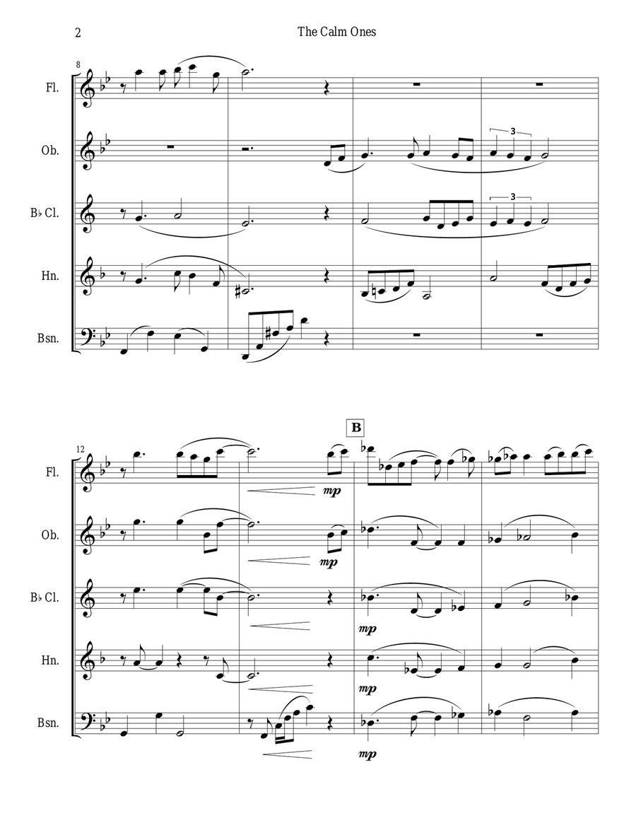 The Calm Ones (in a Noisy World) - woodwind quintet Woodwind Quintet scores gallery preview page 2