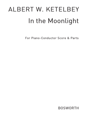 Book cover for In The Moonlight