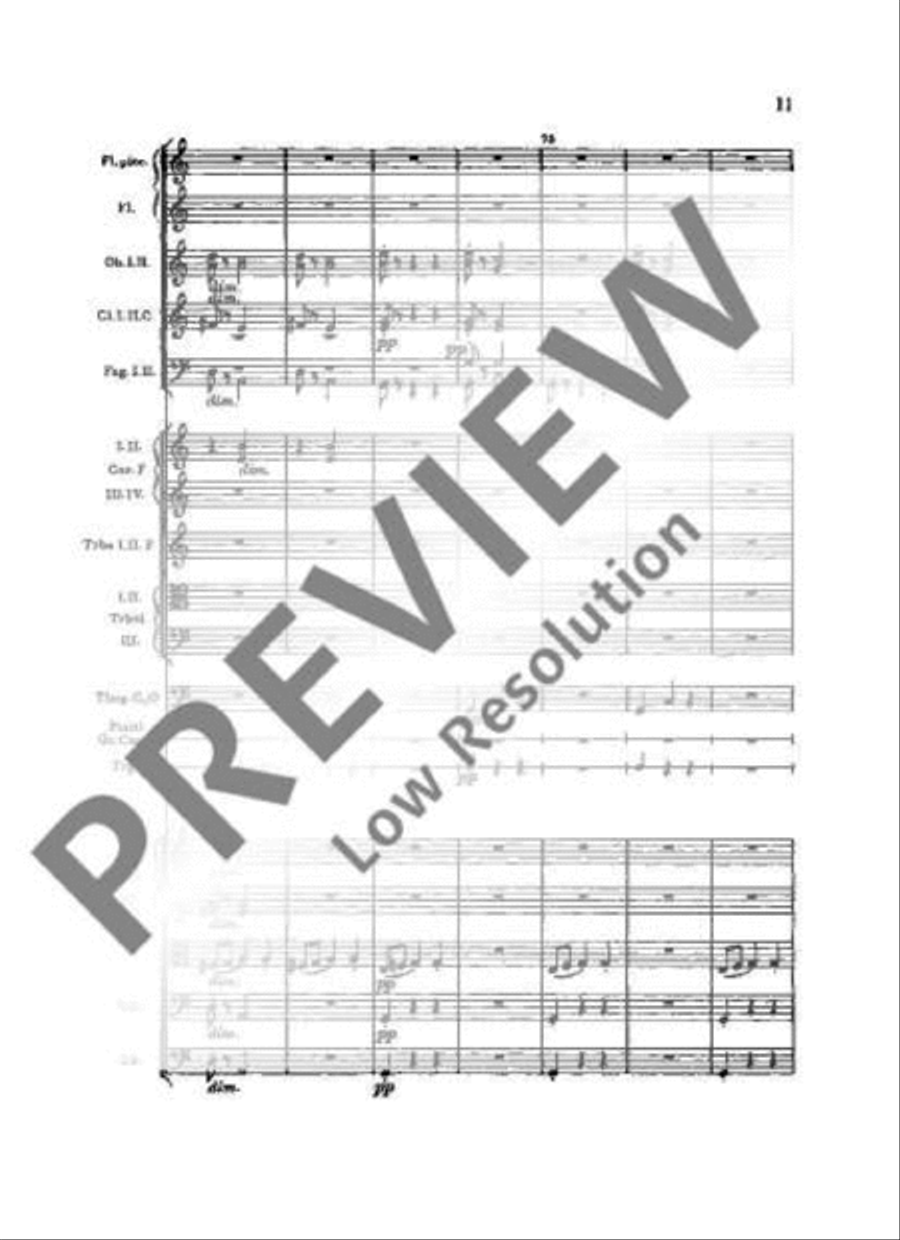 Slavonic Dances Orchestra scores gallery preview page 14