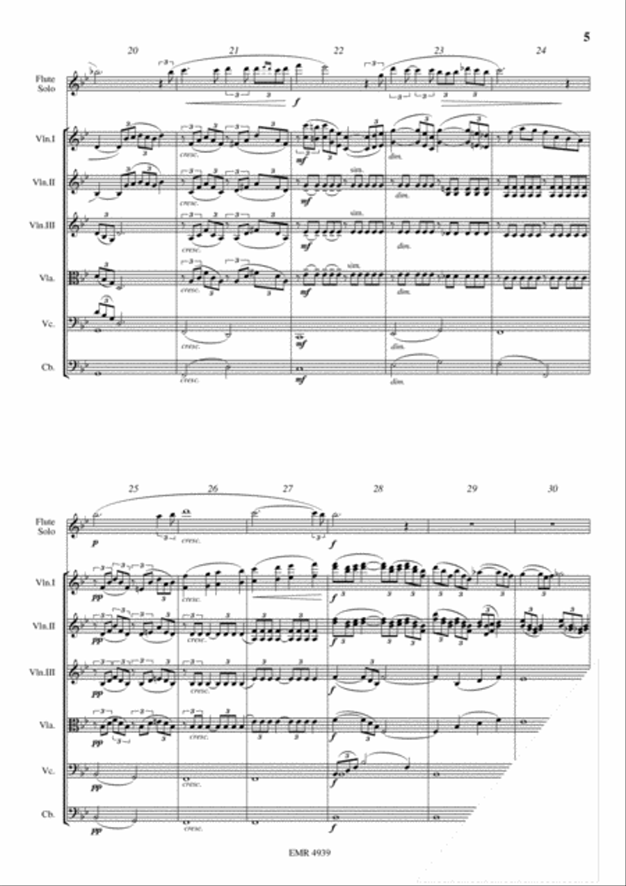 Ave Maria String Orchestra scores gallery preview page 5