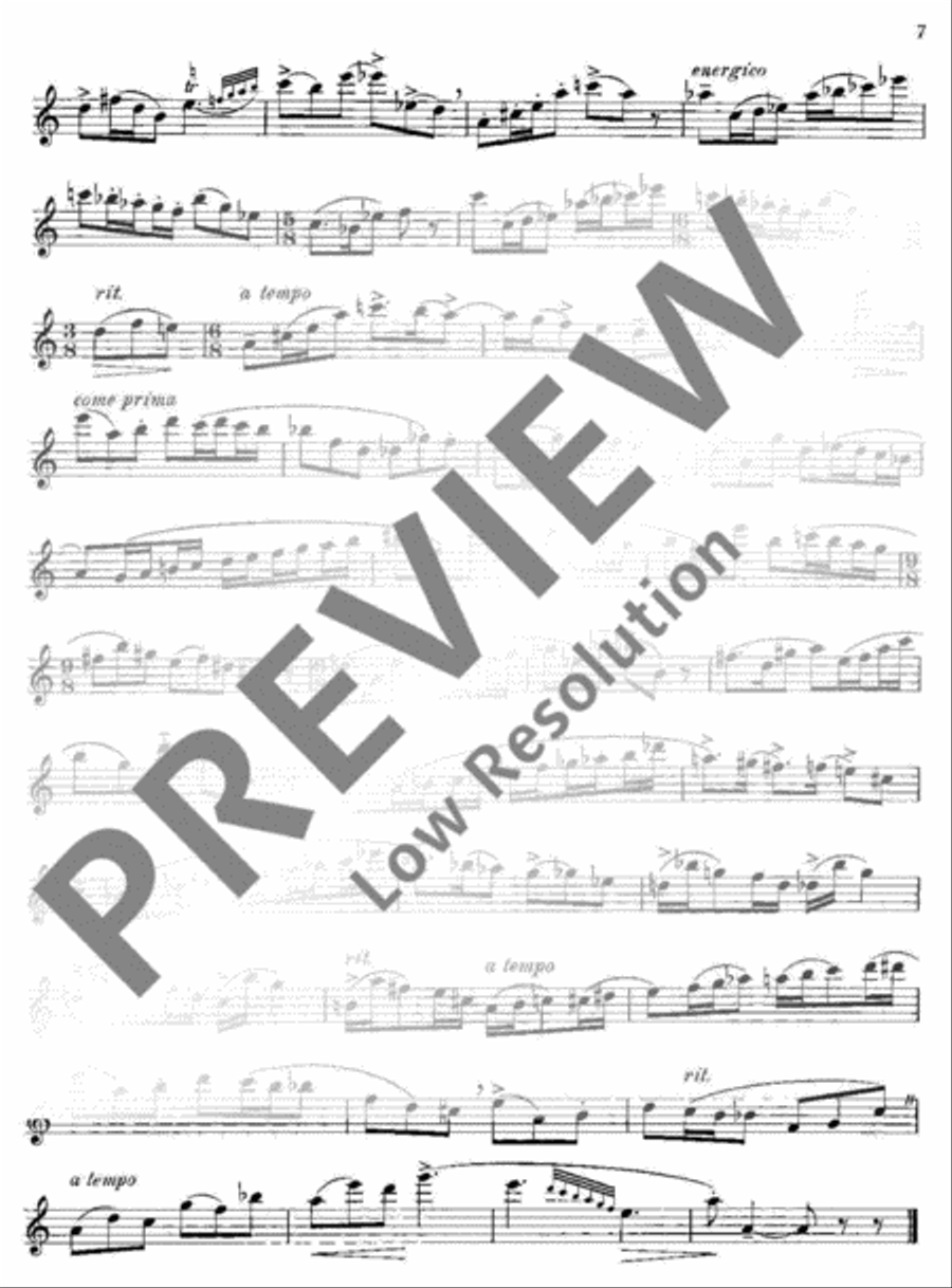 Virtuosic Suite Flute scores gallery preview page 8