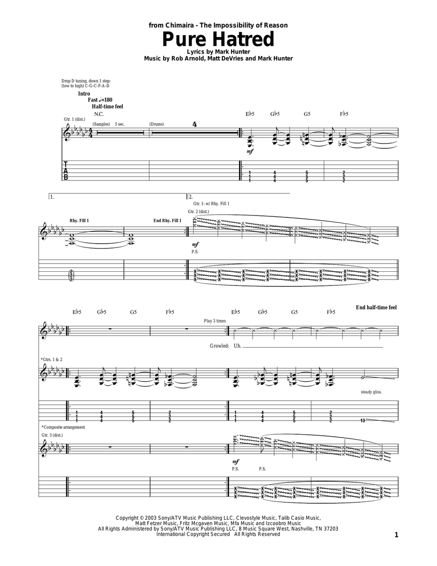 Pure Hatred Acoustic Guitar scores gallery preview page 1