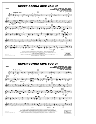 Book cover for Never Gonna Give You Up - F Horn