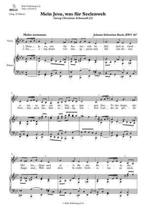Book cover for Mein Jesu, was fur Seelenweh, BWV 487 (G minor)