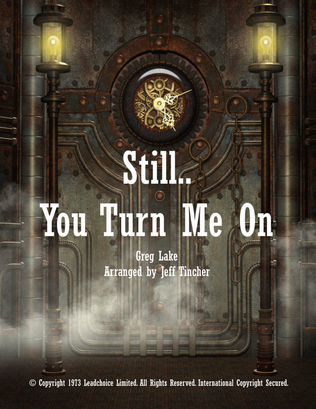 Book cover for Still You Turn Me On