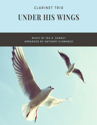 Book cover for Under His Wings (clarinet trio)