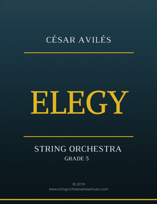 Elegy for String Orchestra