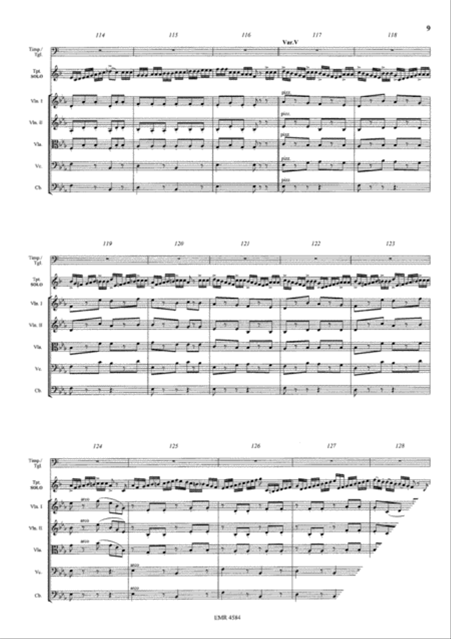 The Carnival Of Venice String Orchestra scores gallery preview page 9