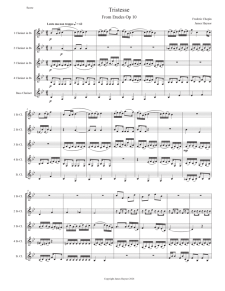 Tristesse for Clarinet Quintet image number null
