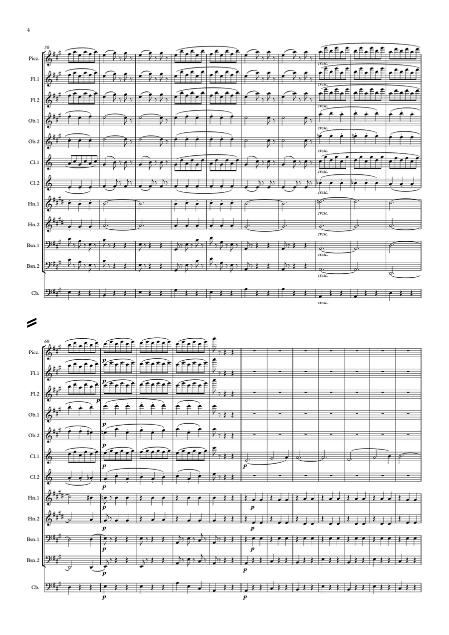Waldteufel: Les Patineurs (The Skaters' Waltz)(original key) - symphonic wind Woodwind Quintet scores gallery preview page 4