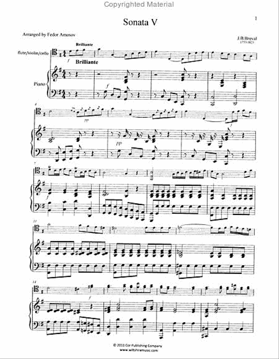 Sonata No.5, Op 12 (Fedor Amosov) Piano Accompaniment scores gallery preview page 2