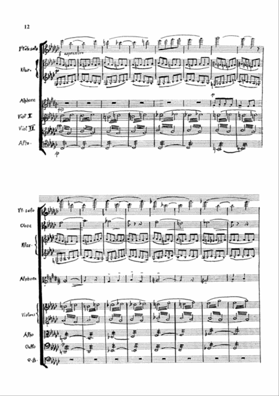 3. Alphorn Concerto Orchestra scores gallery preview page 12