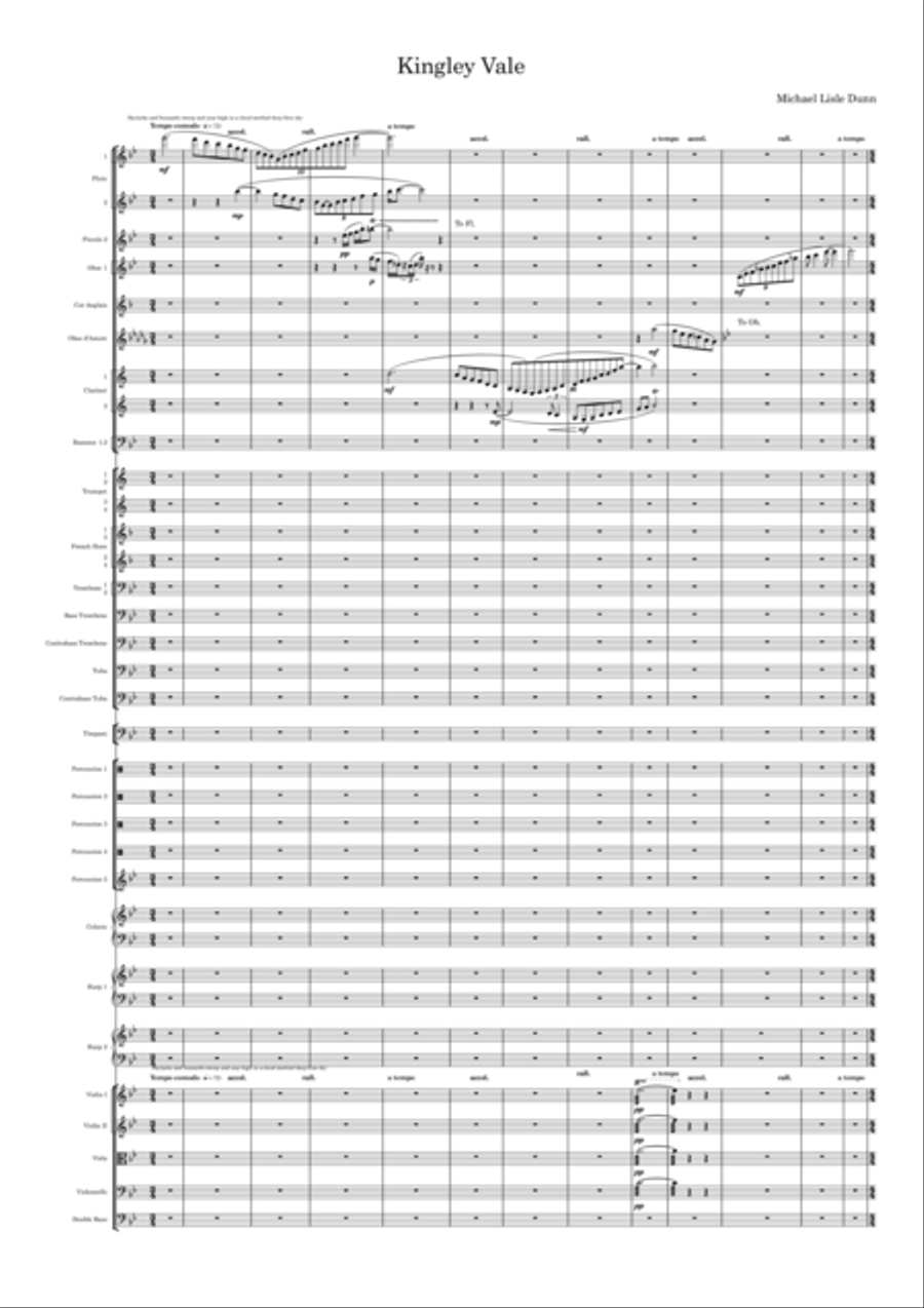 Kingley Vale Full Orchestra scores gallery preview page 6