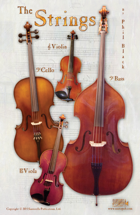 Book cover for String Family Display Poster