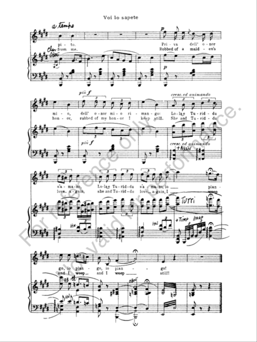 Voi lo Sapete Concert Band scores gallery preview page 6