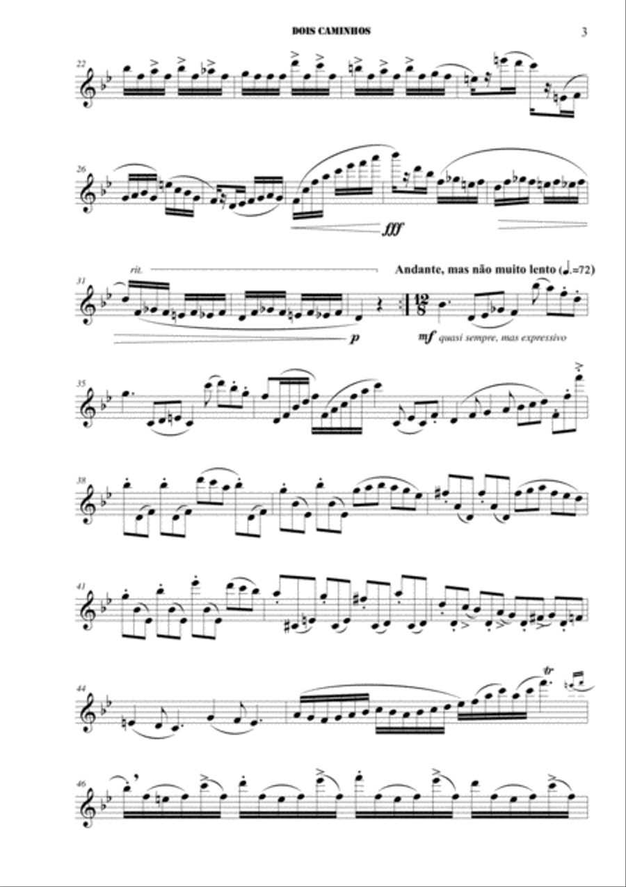Dois Caminhos (Two Paths) Flute Solo scores gallery preview page 3