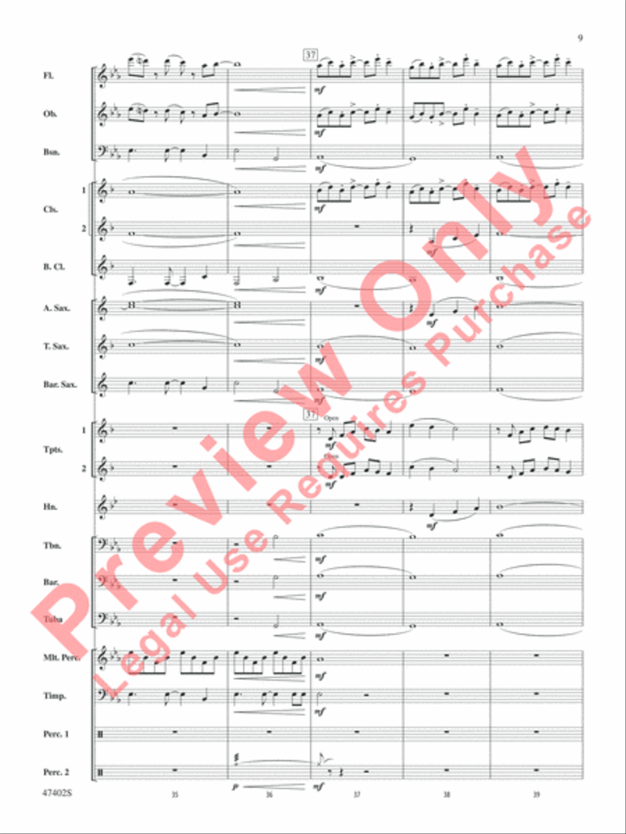 Rhythmicity Rhythmicity Concert Band scores gallery preview page 10