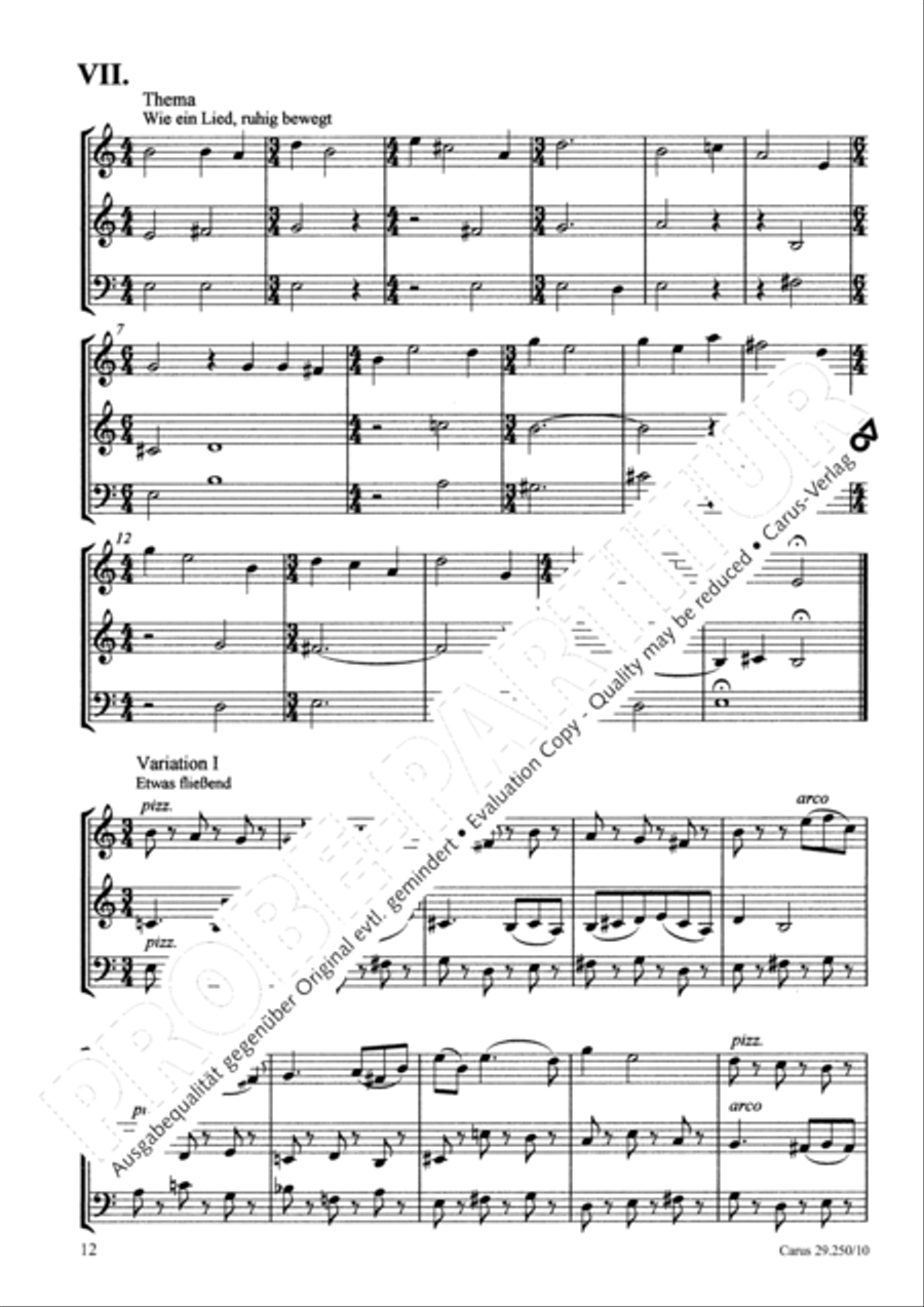 Kleine Trios BoWV 250.1 Performance Score scores gallery preview page 15