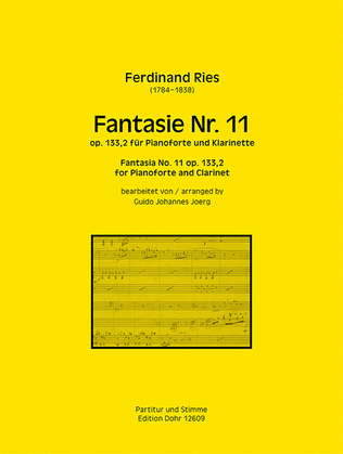 Fantasie Nr. 11 op. 133,2 (für Pianoforte und Klarinette) (über Themen aus Rossinis Oper "Mosè in Egitto")