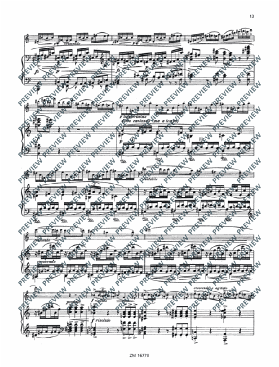 Sonata No. 2 G major Violin Solo scores gallery preview page 14