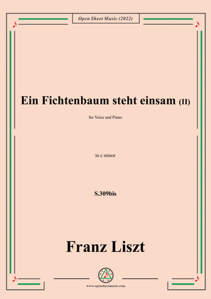 Book cover for Liszt-Ein Fichtenbaum steht einsam II,S.309bis,in c minor