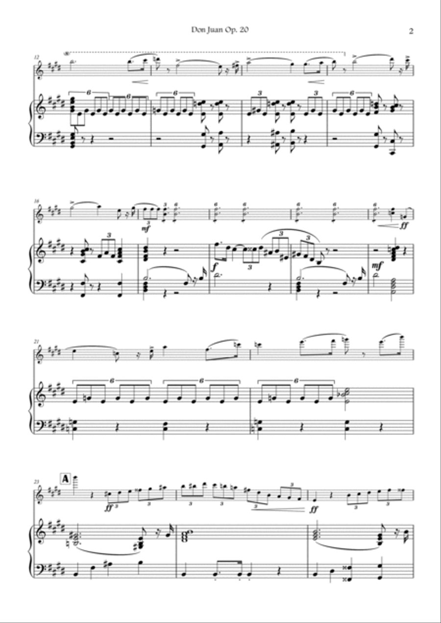 Violin I EXCERPT - Strauss - Don Juan op.20 (with PIANO) Violin Solo scores gallery preview page 2
