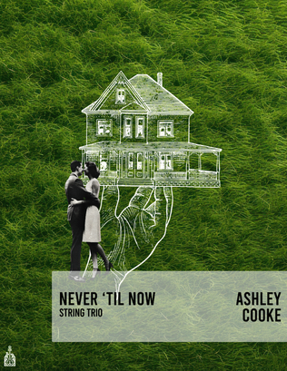 Book cover for Never 'til Now