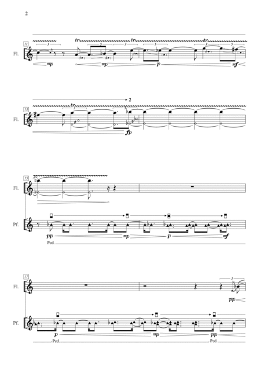 Graziano Riccardi: L'INESORABILE SCORREVOLEZZA DEL TEMPO per flauto e pianoforte (ES-22-055) Flute Solo scores gallery preview page 5