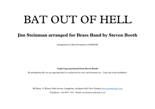 Book cover for Bat Out Of Hell
